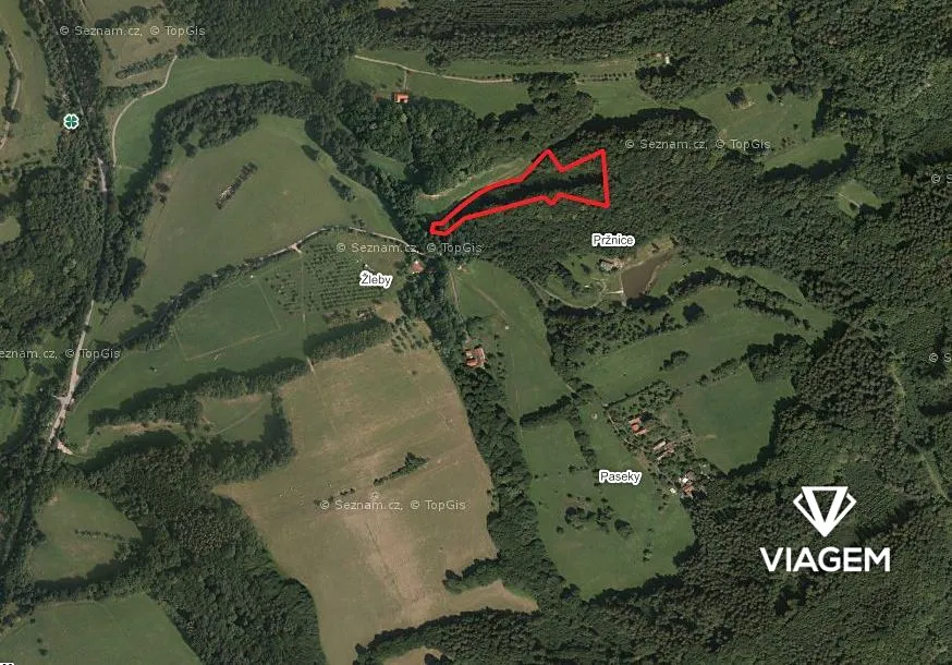 Prodej podílu 1/4 lesa 2332 m²